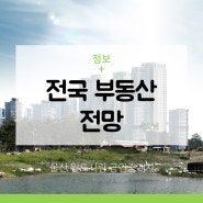2019 2월 부동산 소식 월드사랑 공인중개사