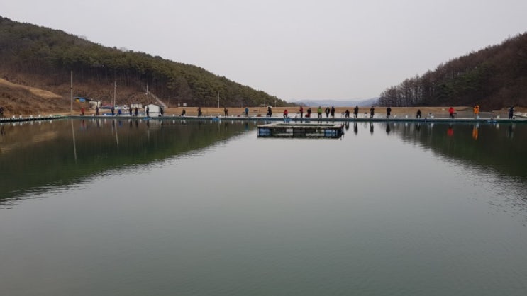 1년만에 송어 (덕봉지) : 네이버 블로그