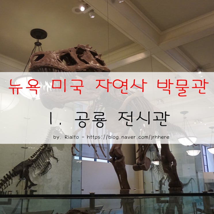 뉴욕 여행 - 뉴욕 미국 자연사 박물관(American Museum of Natural History, AMNH) 1 : 공룡 전시관 : 네이버 블로그