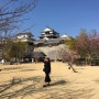[Japan_Matsuyama] 일본 마쓰야마 3박4일 여행 세번째기록 / 마쓰야마성&오카이도상점. 20190130