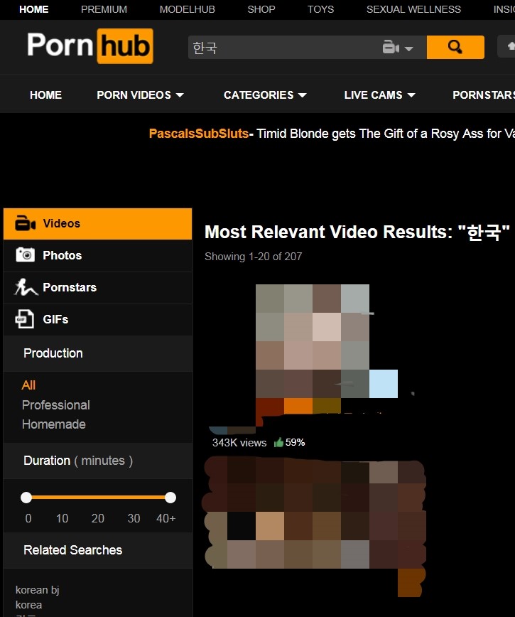 폰허브(Pornhub)엔 한국 불법영상이 정말로 많을까? : 네이버 블로그