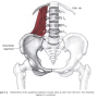 요방형근(Quadratus Lumborum) 통증유발점(트리거포인트,trigger point)의 기전과 치료(Myofascial pain and Dysfunction)