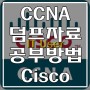 시스코(Cisco) CCNA자격증 덤프자료와 공부방법 알아보자!