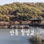 [D850] 경북, 안동 월영교 [ 안동 풍경/ 안동 풍경 명소/ 월영교 / 경상북도 풍경출사 ]