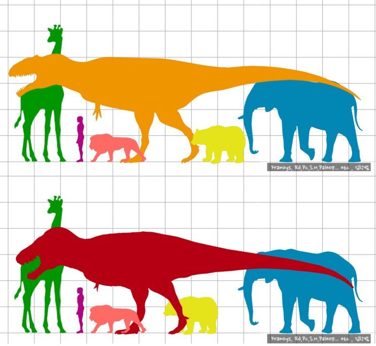 South vs North - Giant theropod square-off : 네이버 블로그