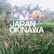오키나와 여행 #2-3 나고 파인애플 파크 ナゴパイナップルパーク