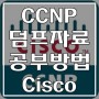 CCNP 자격증은 어떻게 취득해야 할까?