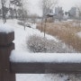 2월의 귀하고 방가운 눈이 내린날 ~~