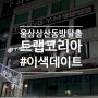 울산 삼산동 방탈출은 트랩코리아에서