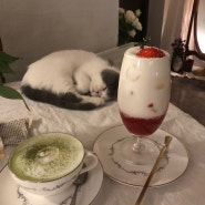 숙대입구역 빈티지 카페 추천 : 귀여운 고양이가 있는 '꽃고비'