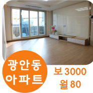 수영구 광안동 아파트 월세 :: 광안대교뷰 고층아파트
