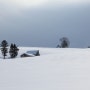 <사진으로 떠나는 여행>-일본, 홋카이도(Hokkaido)