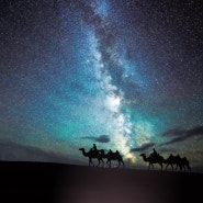 [인기 베스트2] 미니 사막에서 낙타체험 핵심 몽골여행
