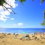 하와이여행 3주간 한달살기 준비 계획하기