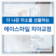 세종교정치과 반듯하게