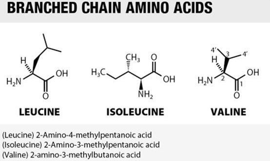 BCAA 효과 및 부작용 추천 : 네이버 블로그