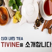 [TIVINE 소개] 신이 내린 TEA, TIVINE을 소개합니다.