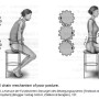 얀다의 근육불균형의 평가와 치료(Assessment and Treatment of Muscle Imbalance The Janda Approach)