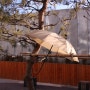 나무손잡이 장우산 트렌디한 기념품 비구름상점