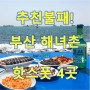 식객들의 천국 <부산 해녀촌> HOT SPOT 4곳