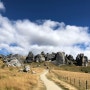뉴질랜드 남섬여행 - 반지의제왕 촬영지 캐슬힐(castle hill)
