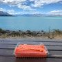 뉴질랜드 남섬여행 - 나도 드디어 푸카키 호수에서 연어를 먹었다.