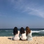 여자셋이 강릉바다여행1박2일 루트_엄지네포장마차/경포대/경포호/포시즌호텔/안목해변커피거리 미르마르/안목해변 수산시장/파자마파티