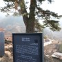 지리산 구룡계곡,뱀사골-와운마을 트레킹 (5)