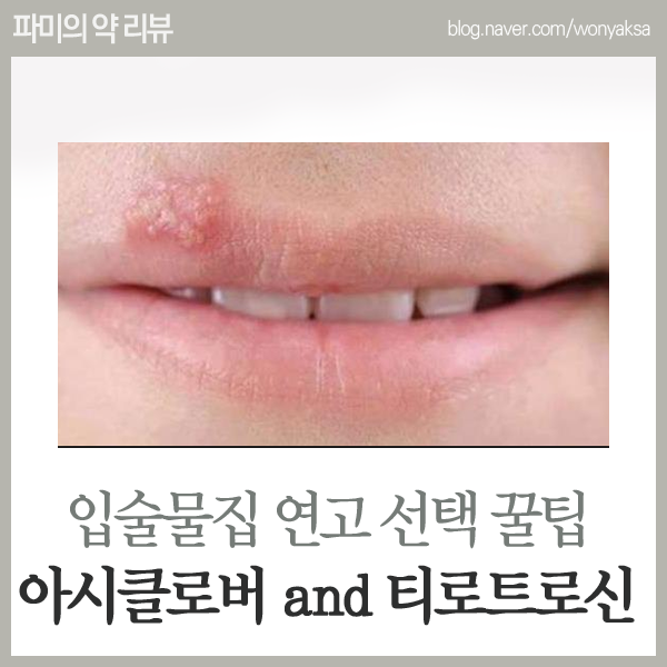 입술 물집 연고 선택 꿀팁 : 네이버 블로그