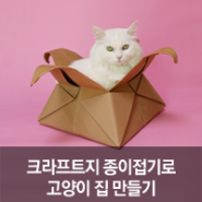[팬시피스트_집사Talk] 크라프트지 종이접기로 고양이 집 만들기 (1000원 투자, 3분 완성)