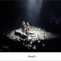 [ 도쿄-부도칸 ] 2Cellos 라이브 콘서트..