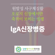 광진구한의원 lgA신장병증 원인부터 검사 치료까지 향기나무한의원에서