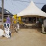 [전라북도 익산] 아이와함께 갈만한곳 추천 이색데이트 동물농장 액션하우스