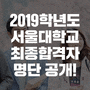 2019학년도 서울대학교 최종합격자 명단 발표!