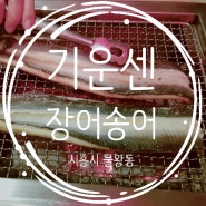 [시흥 물왕동] 기운센 장어송어 feat. 파김치 장어전골