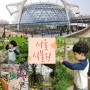주말에 서울 가볼만한곳, 마곡 서울식물원