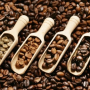 화장품성분 :: 커피 추출물 효능