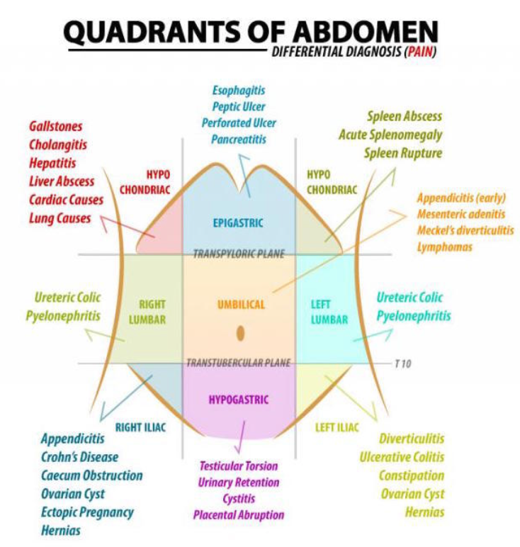 USMLE Step 2 CS : Abdominal pain Prep : 네이버 블로그
