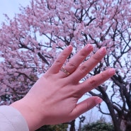 망포동네일샵 톡톡네일 에서 미리 벚꽃네일을 하고왔어요 ~