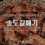 [광명/광명역] 이케아/아비뉴프랑맛집 : 송도갈매기