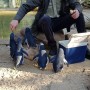시드니 블루마운틴 투어 : Part3. 페더데일 동물원