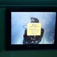 [제주 아이와 가볼 만한 곳] 바닷속 체험 서귀포 잠수함