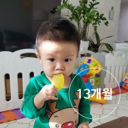 먹이기 전쟁 12개월 아기, 지한이의 성장일기 (생후 13개월되는날까지)