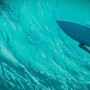 언더 워터 2016 - 심장을 꽉 조이는 바다의 공포 (한상완)