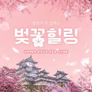 [3월 여행지 추천] 일본 오사카/후쿠오카/삿뽀로 벚꽃여행 어때요?