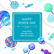 Happy White Day Ⅱ