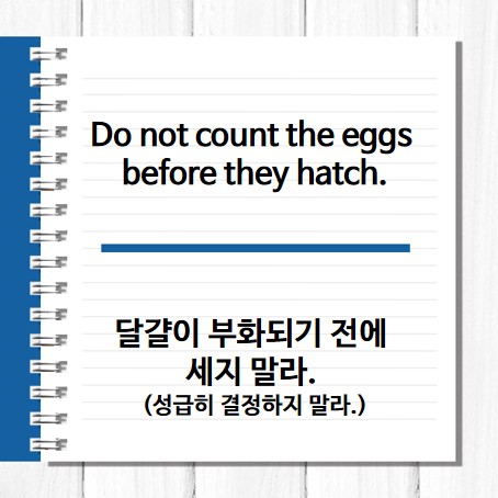 [영어속담/영어명언] 스피킹챌린지 영어속담 : Do not count the eggs before they hatch