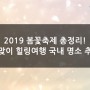 2019 봄꽃축제 총정리! 봄맞이 힐링여행 국내 명소 추천