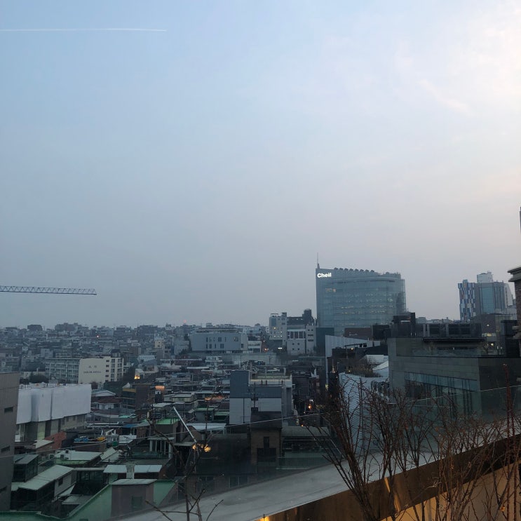 190308 빈껍데기 같은 요즈음,,,~~ : 네이버 블로그