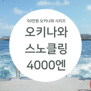 [오키나와] 케라마제도 크루즈 보트 스노쿨링 4000엔 T멤버쉽 후기 / 스노클링